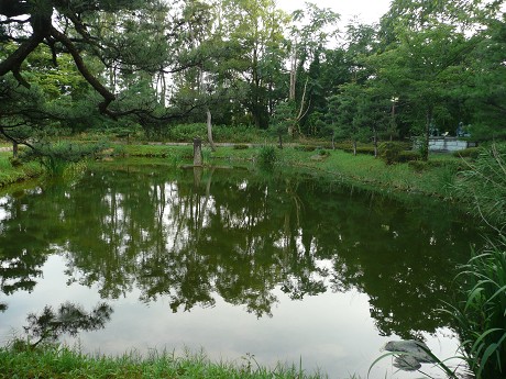 c0057946_19115026.jpg