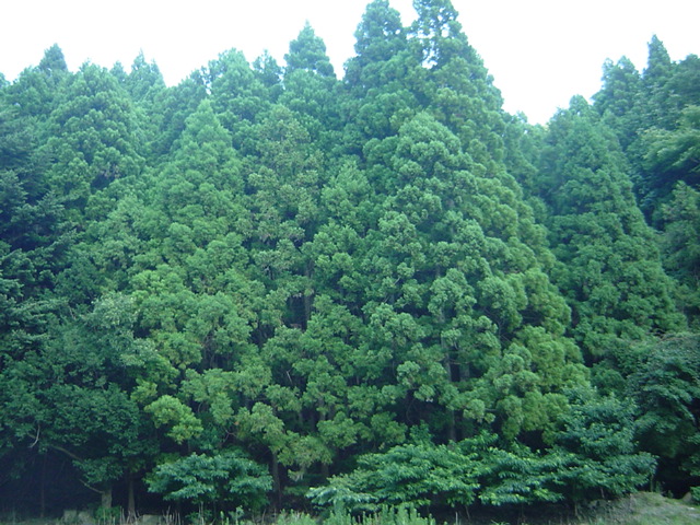 c0198149_8284672.jpg