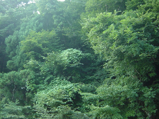 c0198149_8291253.jpg