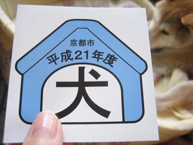 おばあさんを連れて_c0049950_1472394.jpg