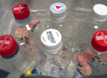b0005652_200616.gif