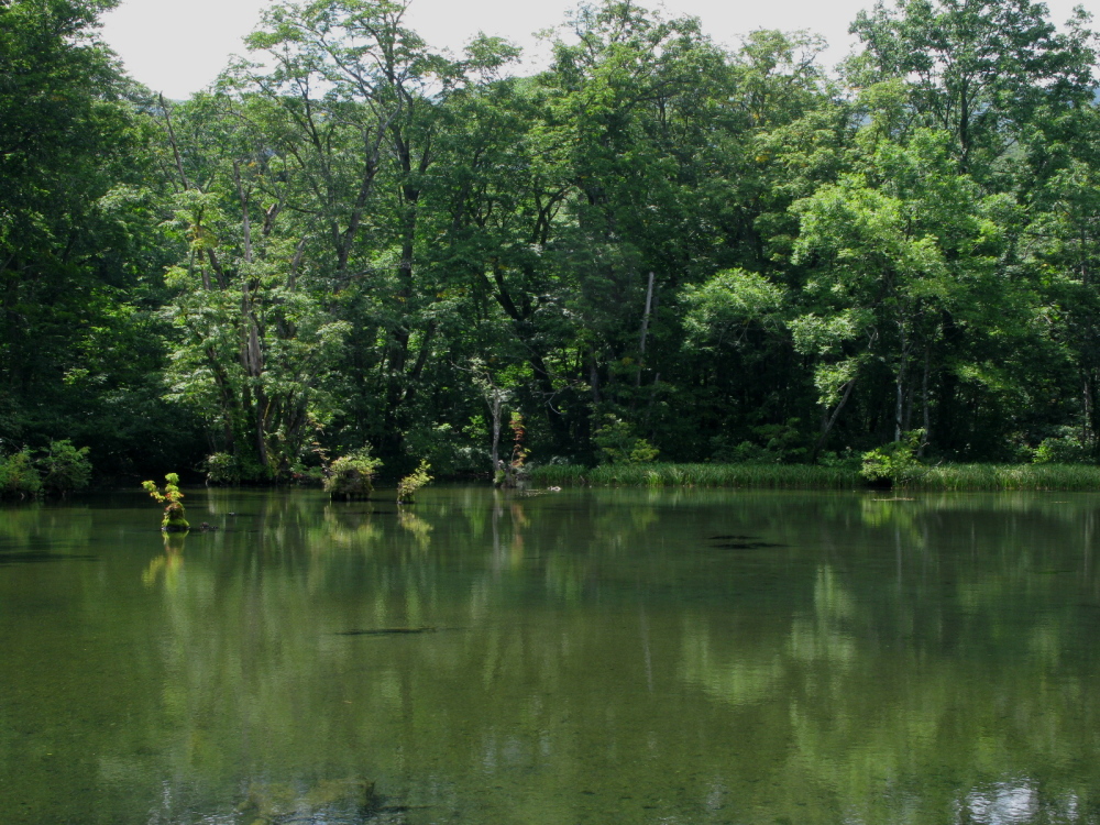 e0070552_23365055.jpg