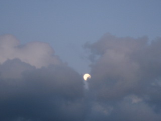 b0160957_731022.jpg