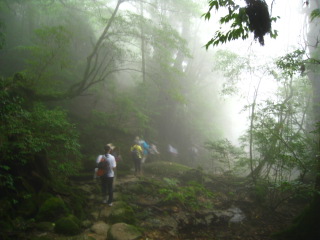 b0160957_7353233.jpg