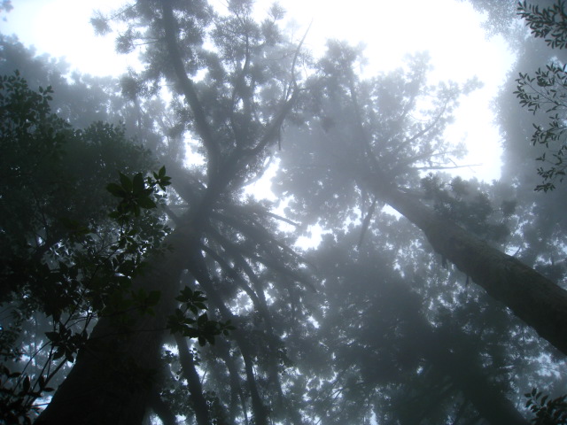 b0160957_736376.jpg