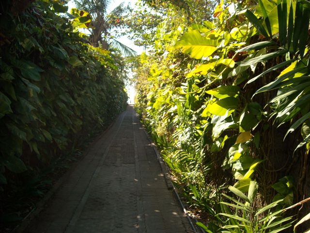b0162357_10454743.jpg