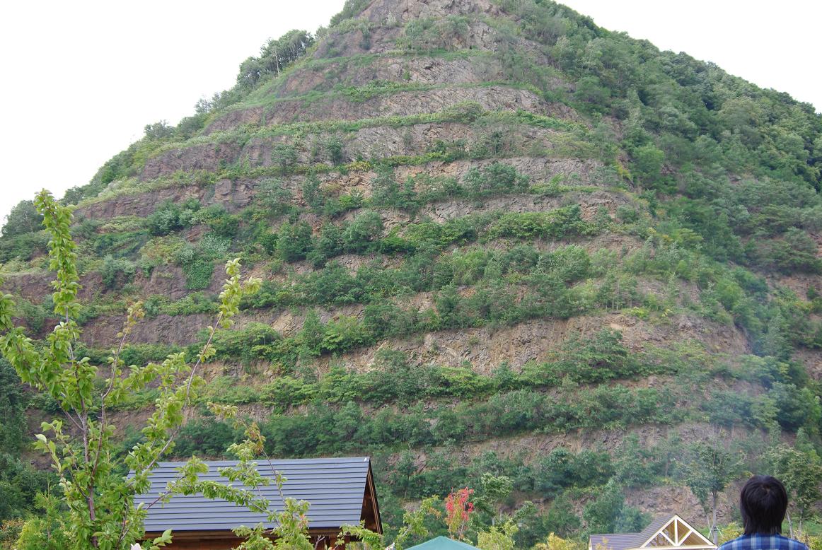 d0089157_22144493.jpg