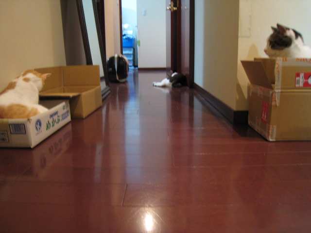 f0135859_21194386.jpg