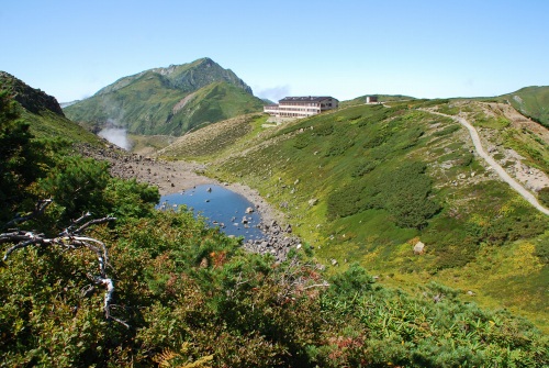 d0110562_10312111.jpg