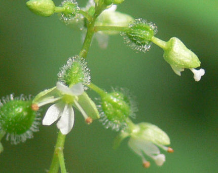 b0186563_0474722.jpg