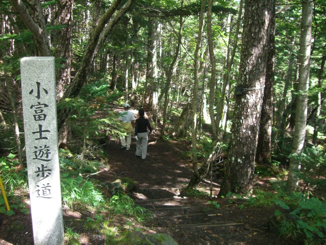 c0081363_04139.jpg