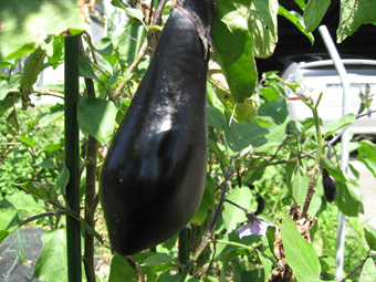 e0149377_23271370.jpg