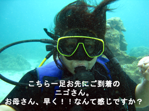 親孝行ダイビング! 娘よ偉いぞ!!_f0144385_21501849.jpg