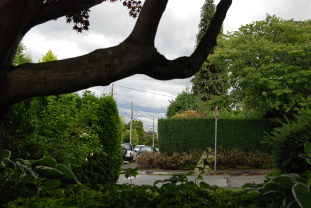 d0129786_12411166.jpg