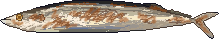 e0137390_19543525.gif
