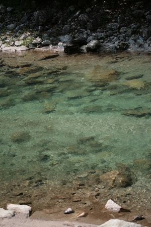 d0133693_15544815.jpg