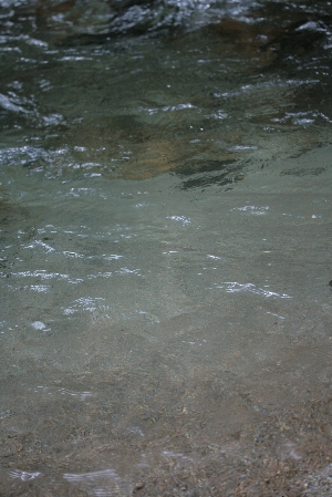d0133693_15545934.jpg