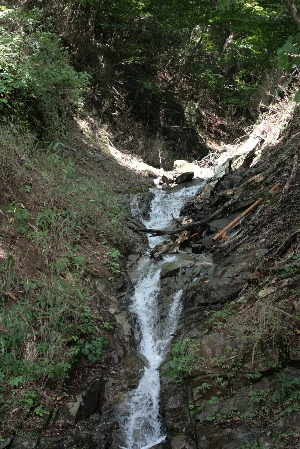 d0133693_1555983.jpg