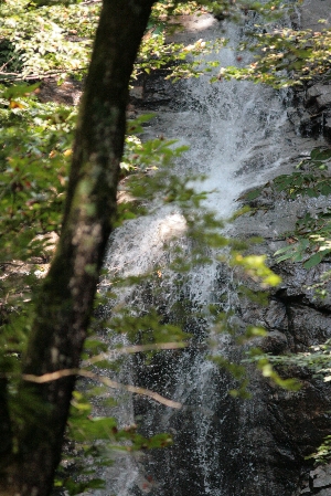 d0133693_1556921.jpg