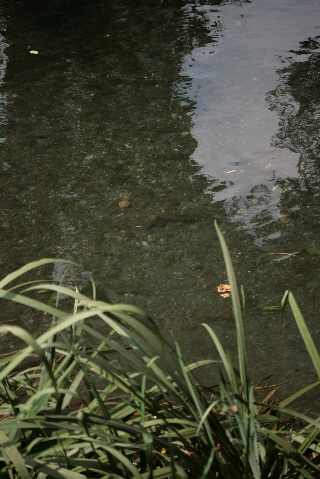 d0133693_20312210.jpg
