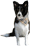 f0114893_22441929.gif