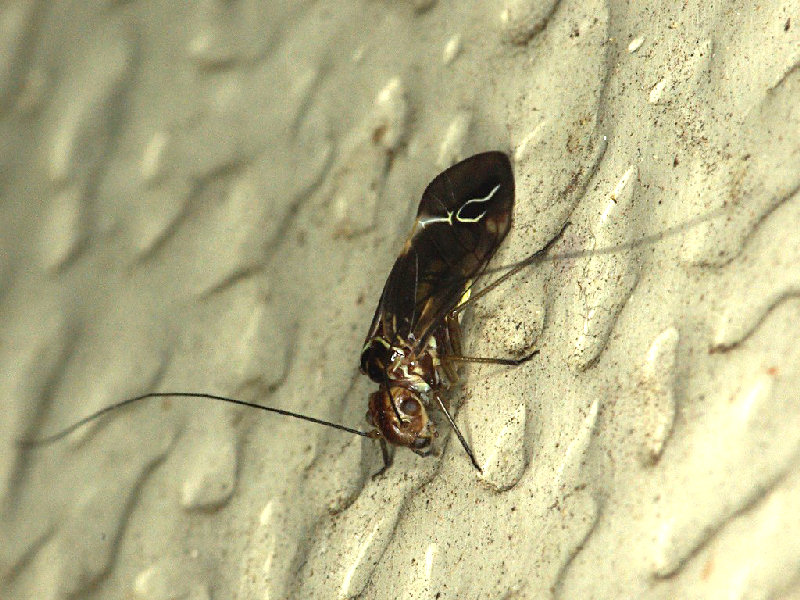 f0204094_1911418.jpg