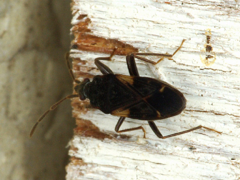 f0204094_1953921.jpg