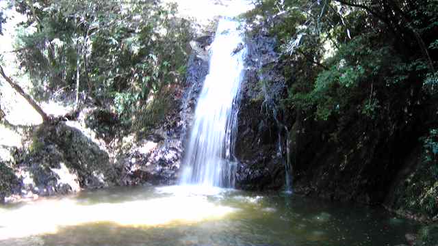 b0120396_22334499.jpg