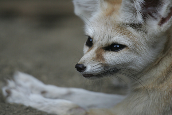 写真の価値_b0016600_855595.jpg