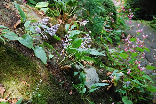 c0124100_15472428.jpg