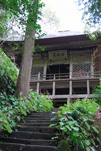 c0124100_1551124.jpg
