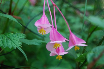 c0124100_15541995.jpg