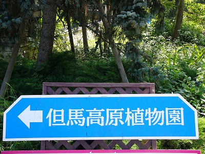 a0123003_13114131.jpg