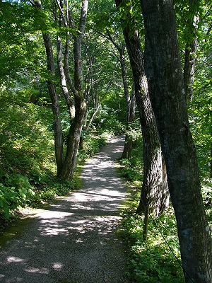 a0123003_13223466.jpg