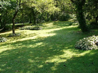 a0123003_13381123.jpg