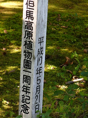 a0123003_1341242.jpg