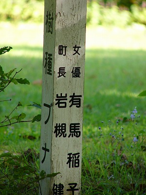 a0123003_13414354.jpg