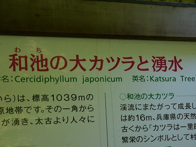 a0123003_13455082.jpg