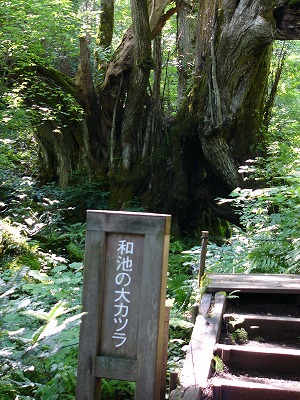 a0123003_13465223.jpg