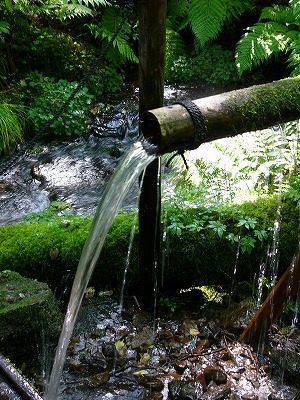 a0123003_1349416.jpg