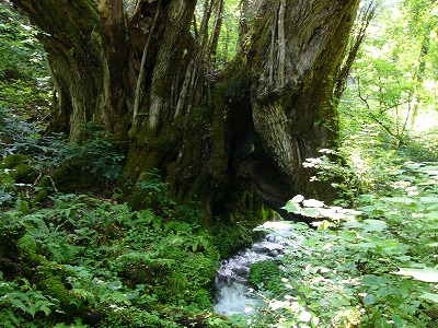 a0123003_13521771.jpg