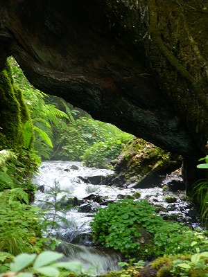 a0123003_13524352.jpg