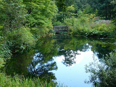 a0123003_14231142.jpg