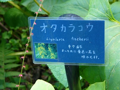 a0123003_1481436.jpg