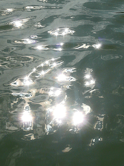 近江八幡　水の景色_b0014003_13471297.jpg