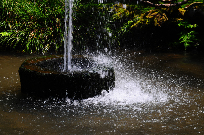 b0158403_22452634.jpg