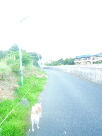 e0131506_23202485.jpg