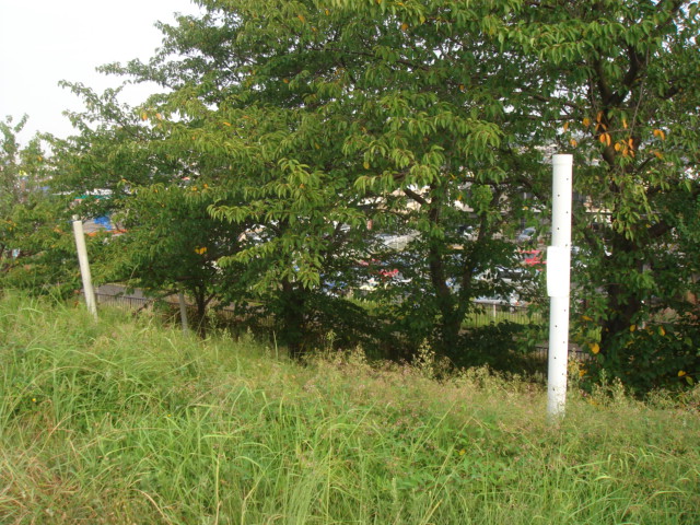 b0168309_2153785.jpg