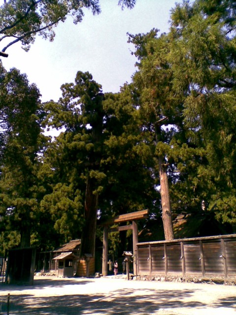 d0016409_23451946.jpg