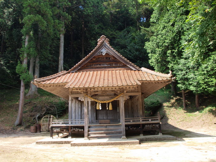 稲刈りの田んぼと神社_c0116915_02598.jpg